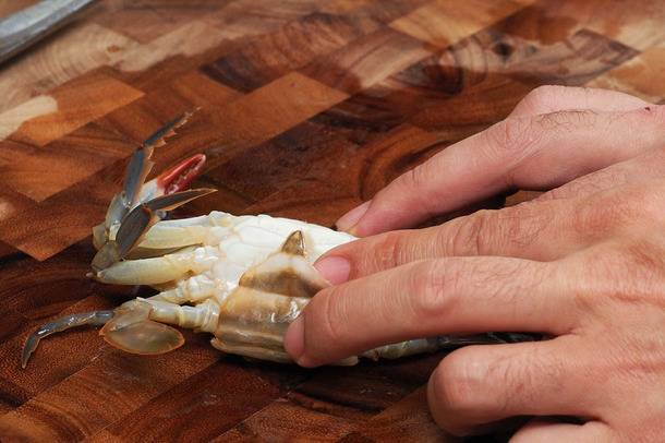 cua-bien-nau-canh-gi-ngon-20140526-soft-shell-crab-pull-off-apron2-thumb-610x406-403023